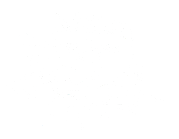 Voiture nettoyée au-dessus d’une grille : mousse savonneuse dans la rivière, micropolluants persistants dans l’environnement.