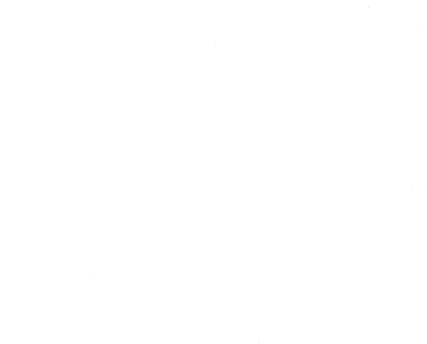 La toiture et la terrasse d’une maison nettoyées avec un produit contenant du chlore: déversement à travers une grille : dégâts piscicoles sur environ 1 km avec 135 truites mortes.